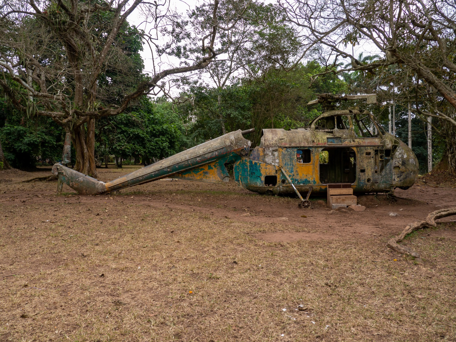 Mature trees and lawns at Aburi Botanical Gardens in Ghana