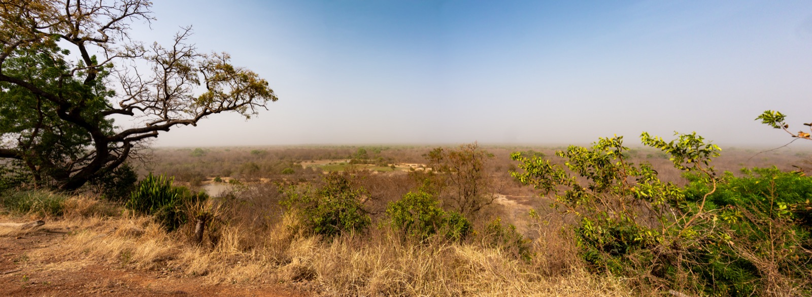 Savanna landscape at Mole National Park in northern Ghana